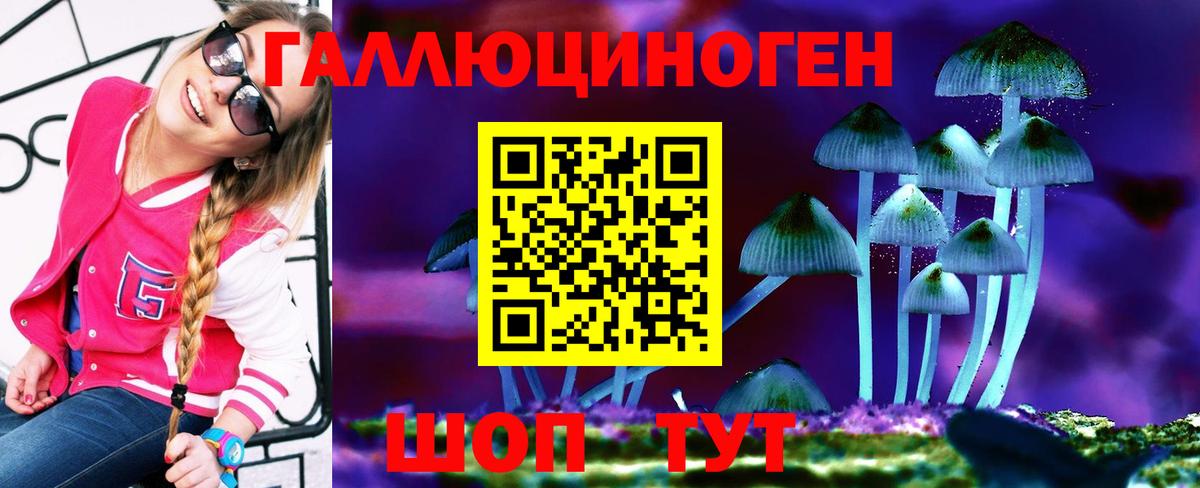 Галлюциногенные грибы мицелий  Вход с VPN  Галлюциногенные грибы прущие грибы  Коряжма 